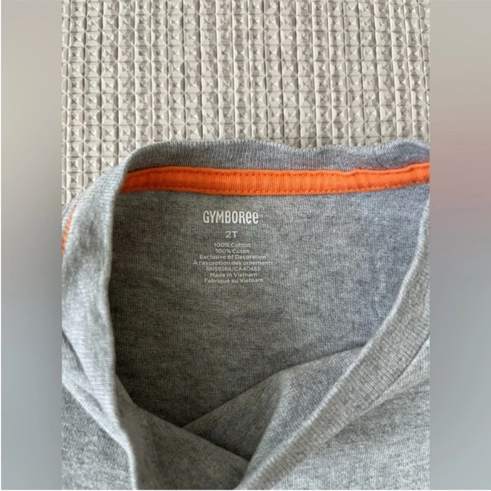 Gymboree, Gray, solar system T-shirt, 2T